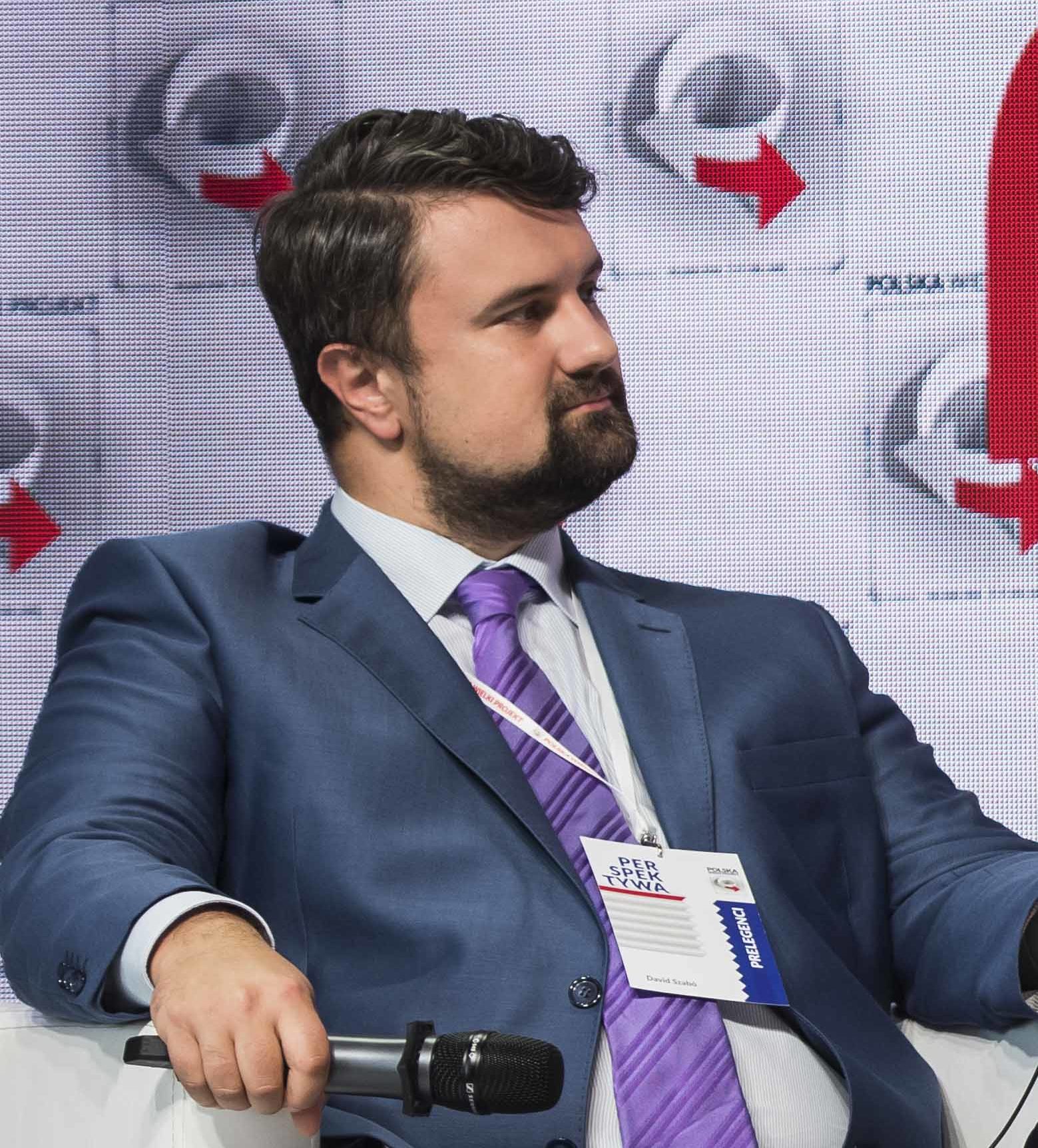 Szabo Dawid, Fundacja Polska Wielki Projekt