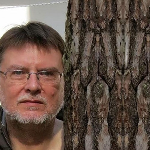Mergler; polska wielki projekt